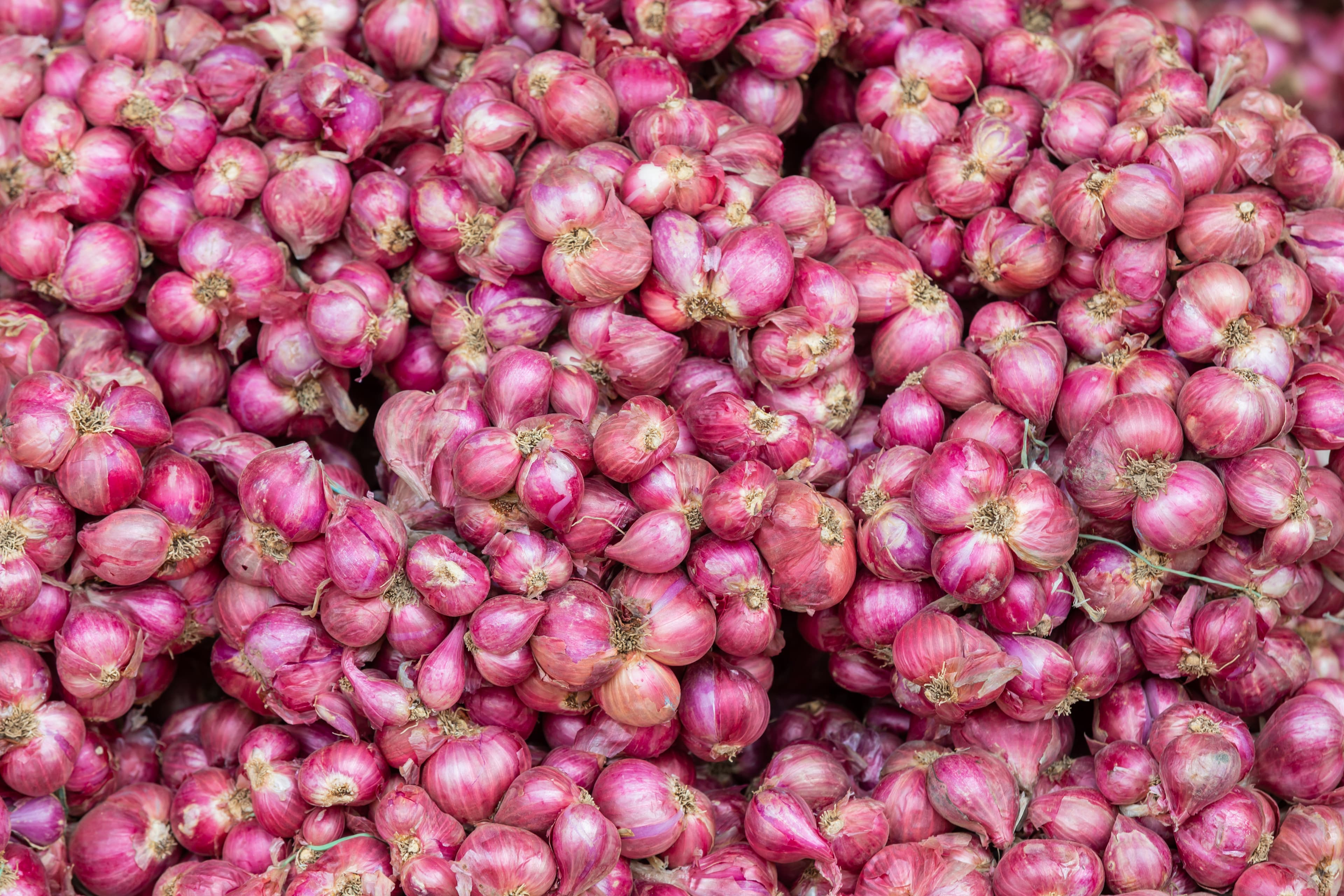 Onion Export Requirements for Gulf Countries