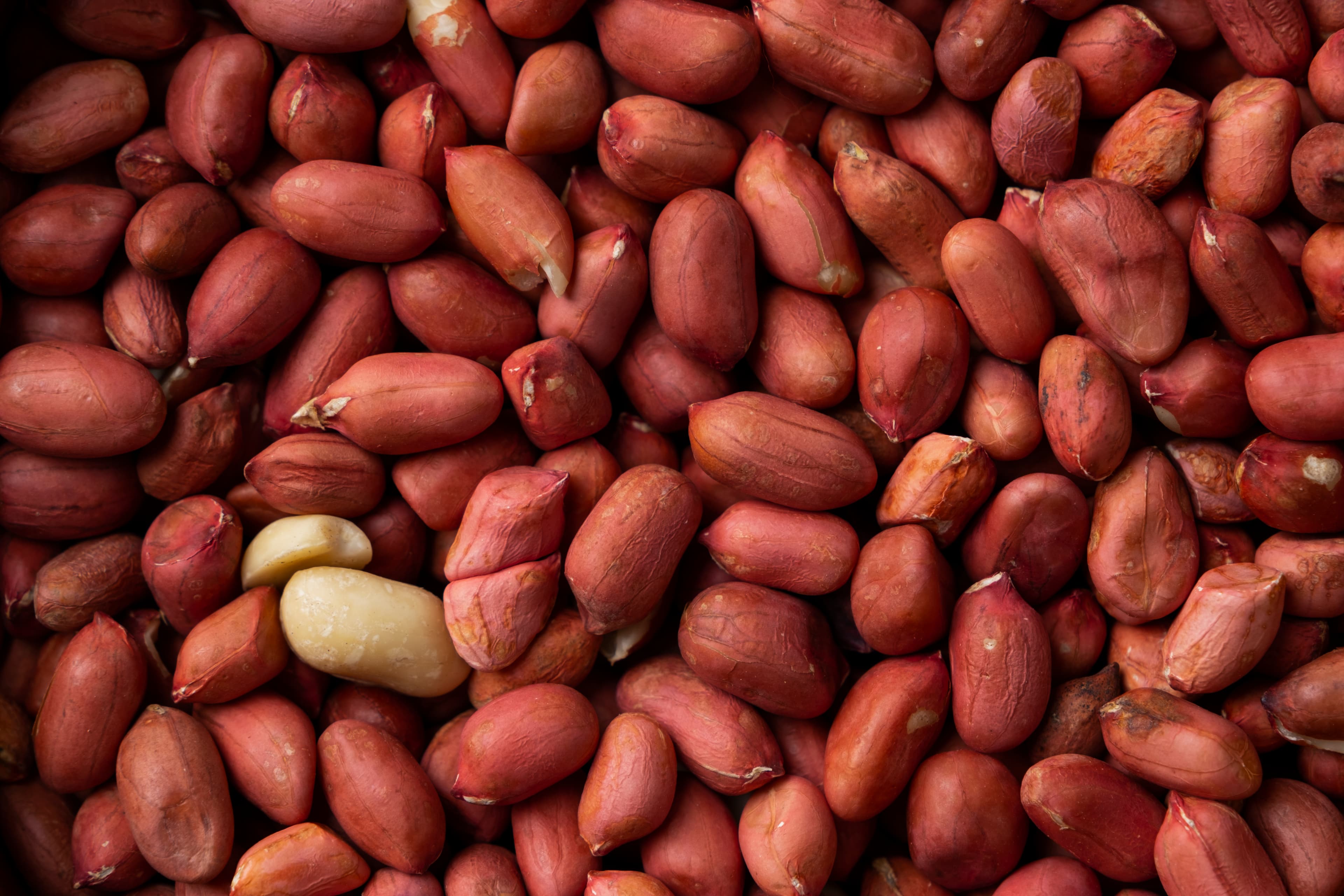 Premium Raw Peanuts (Groundnuts)