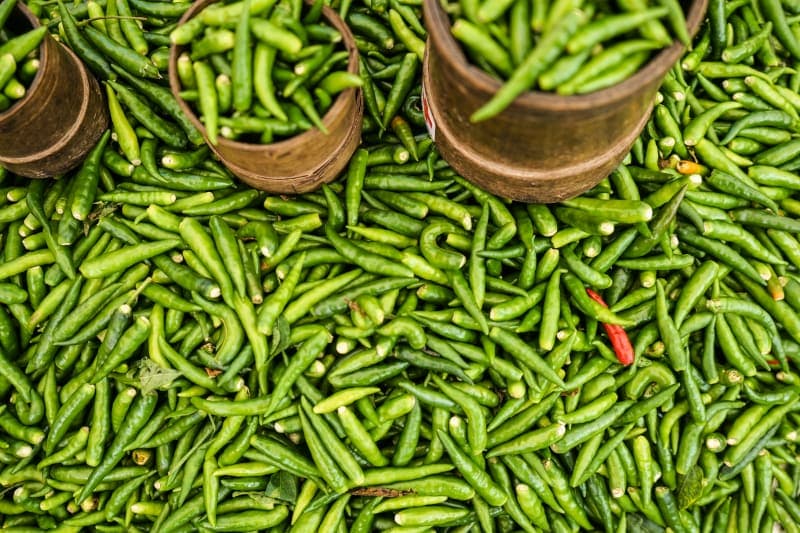Fresh Green Chilli (G4/Teja)
