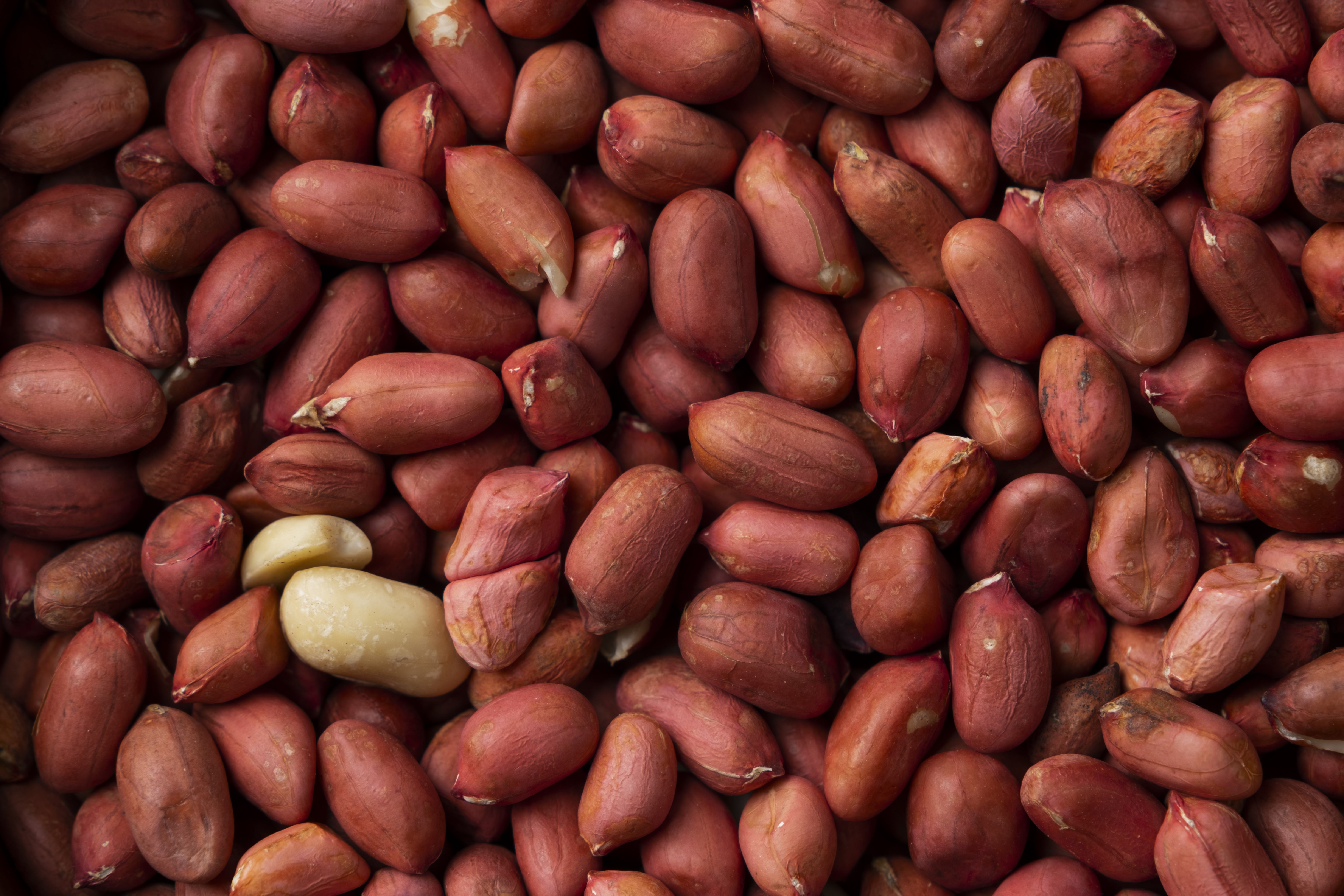 Premium Raw Peanuts (Groundnuts)