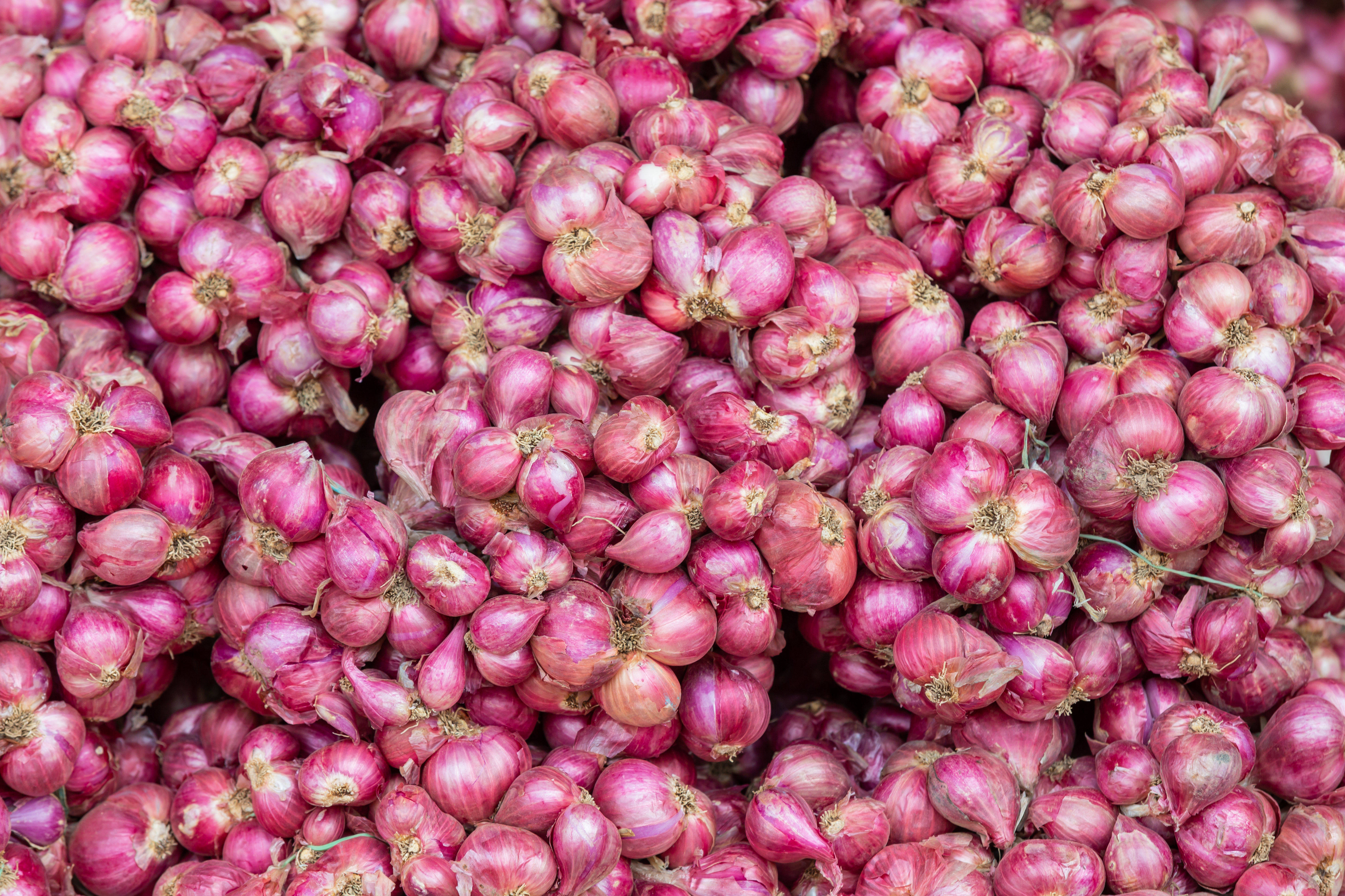 Fresh Red Onion